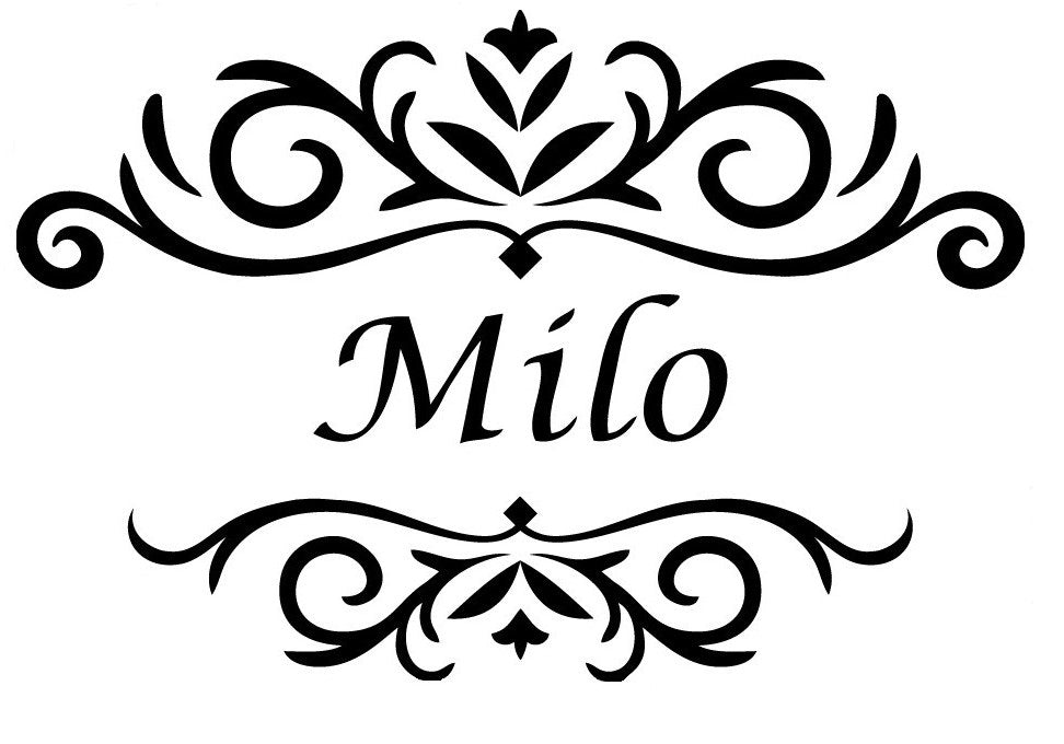 Win a Milo Leo Mens Wallet from Milo Fashion